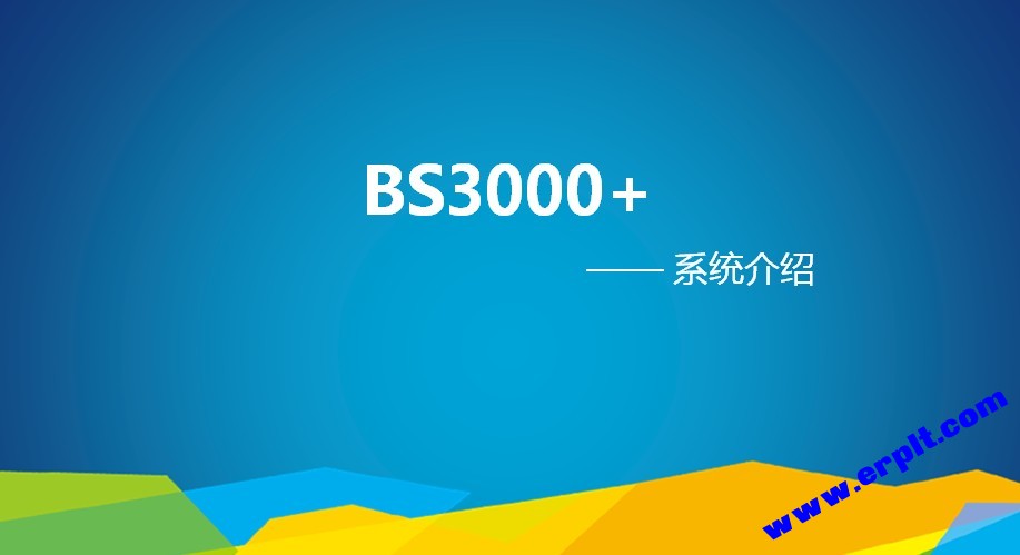 百胜软件BS3000+